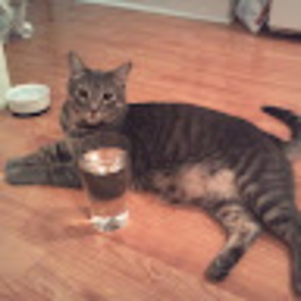 Meet your Posher, Andy